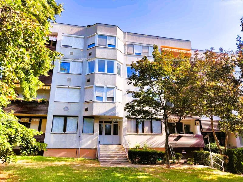 Ingatlan kép