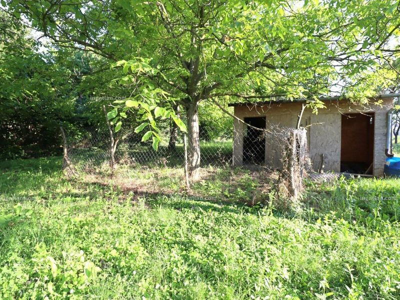 Ingatlan kép