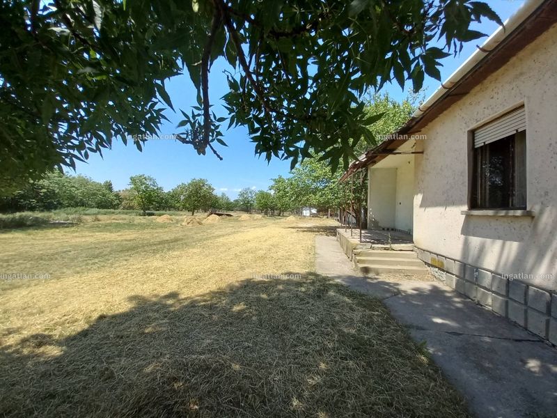 Ingatlan kép