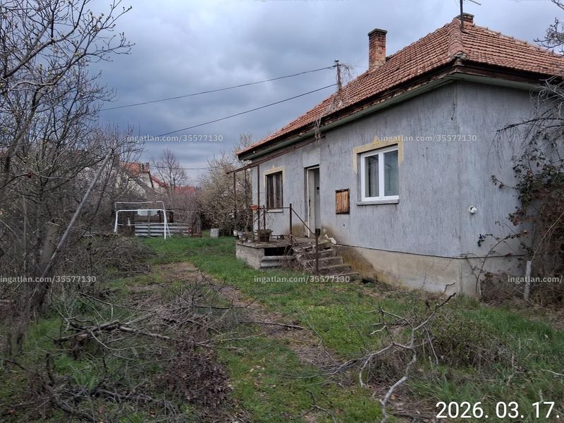 Ingatlan kép
