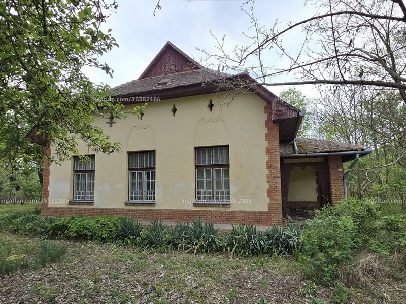 Ingatlan kép
