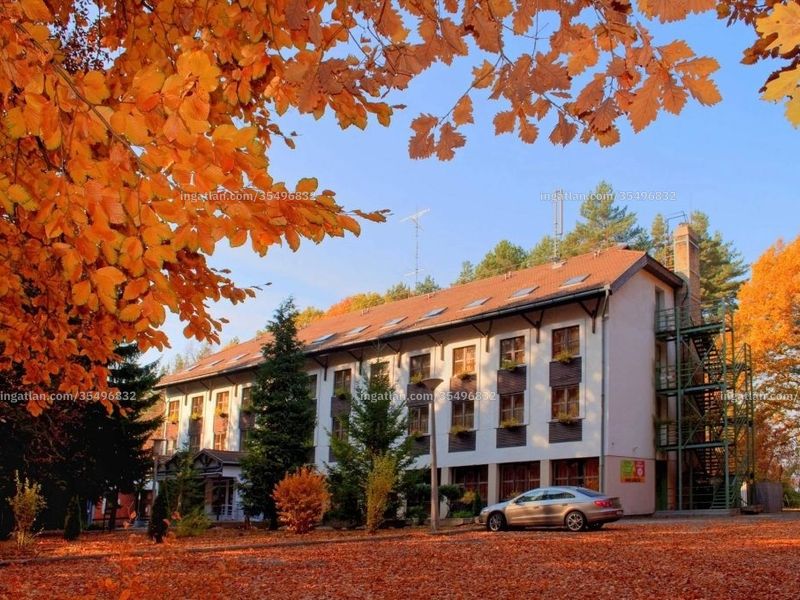 Ingatlan kép