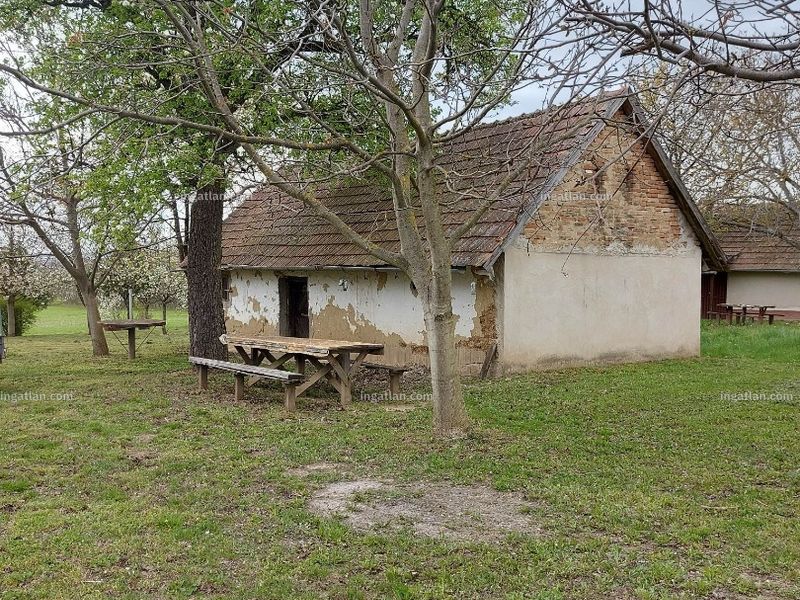 Ingatlan kép