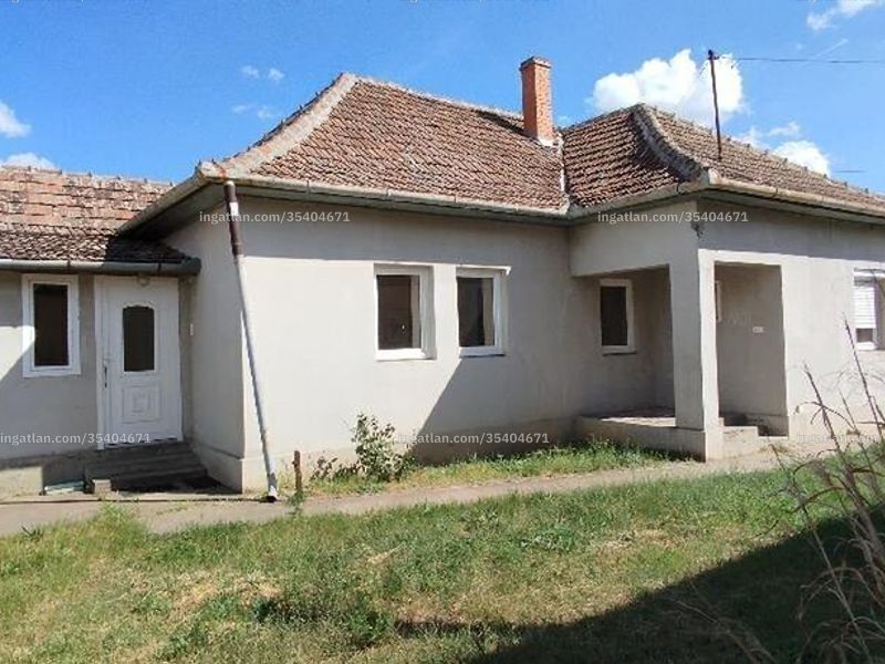 Ingatlan kép