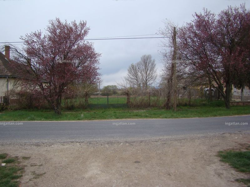 Ingatlan kép