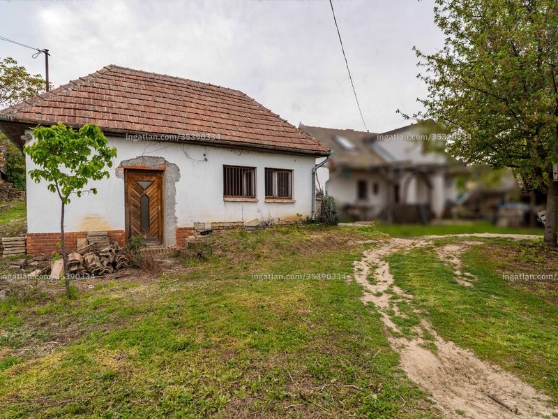 Ingatlan kép