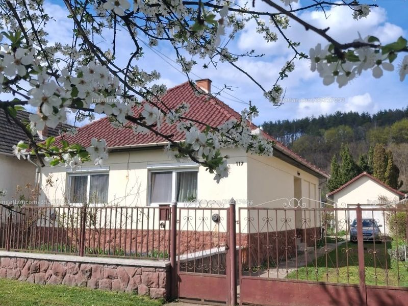 Ingatlan kép