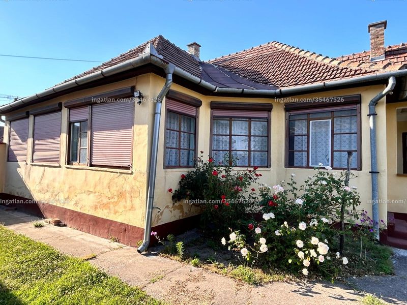 Ingatlan kép