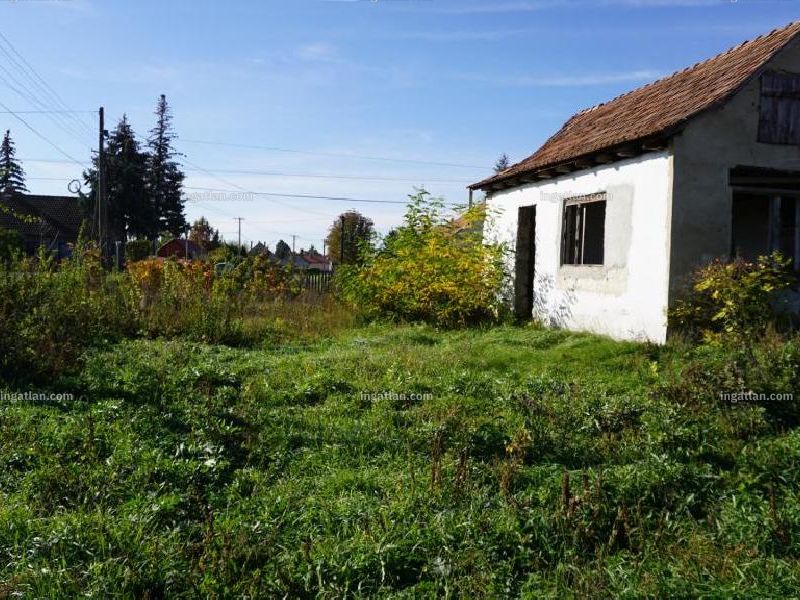 Ingatlan kép