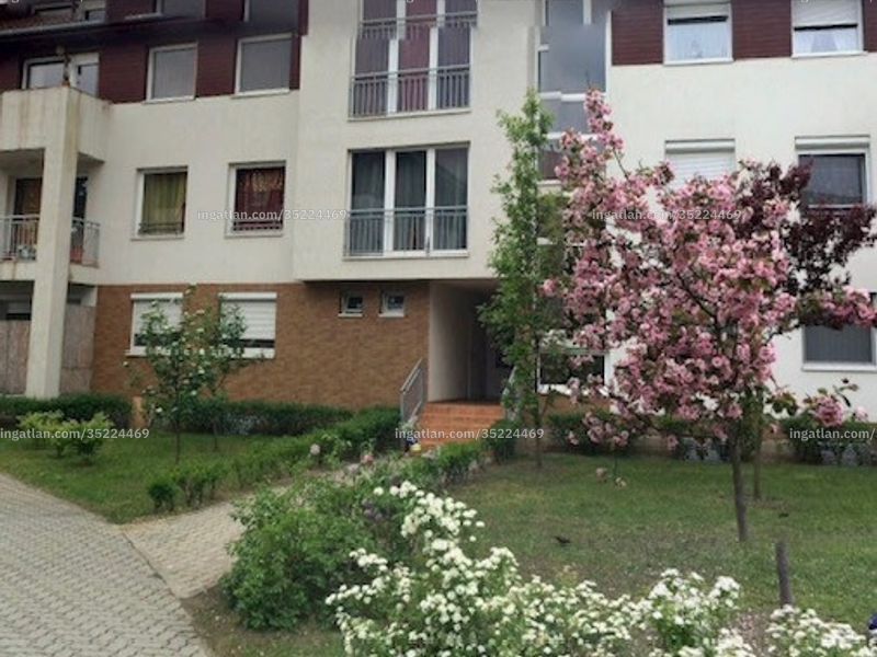 Ingatlan kép