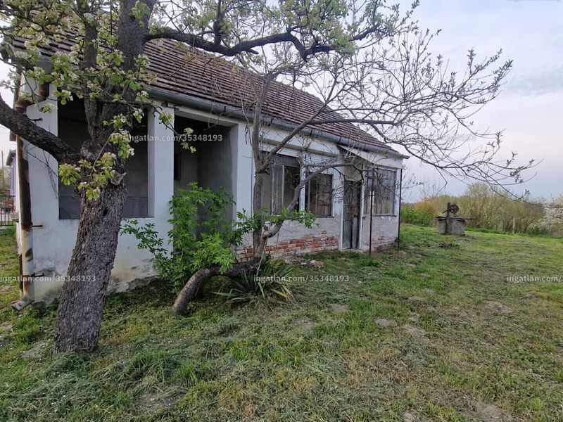 Ingatlan kép