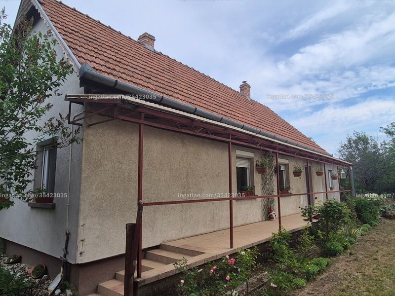 Ingatlan kép