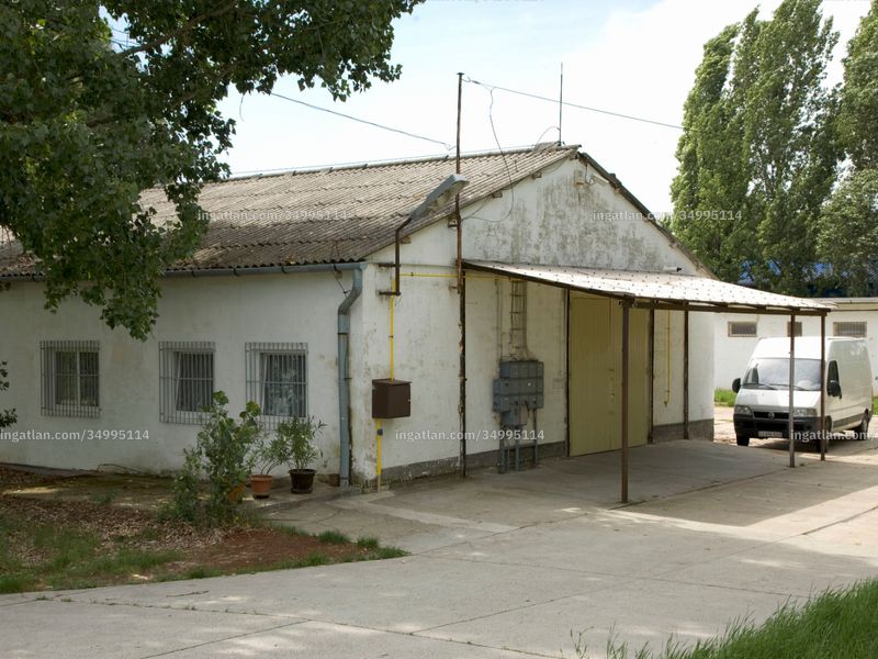 Ingatlan kép