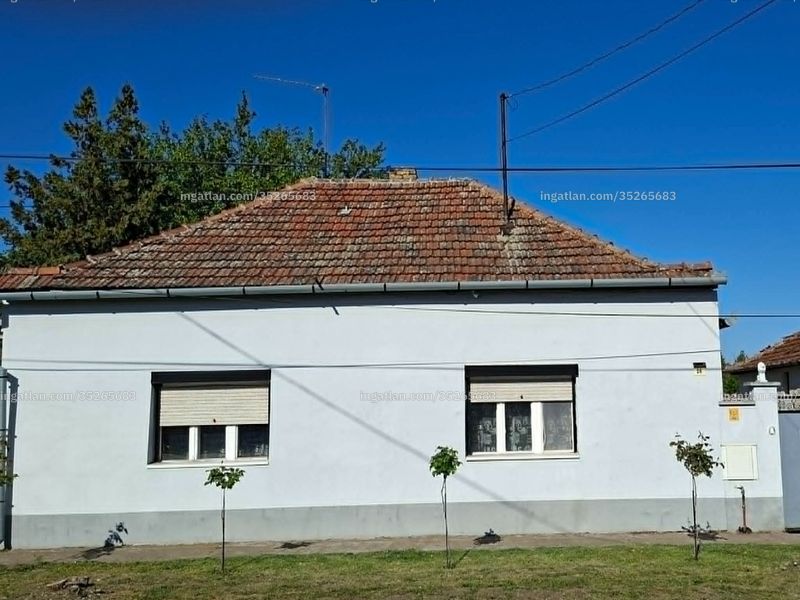Ingatlan kép