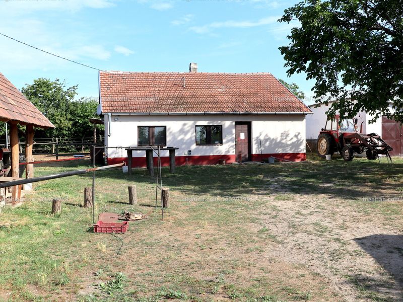 Ingatlan kép