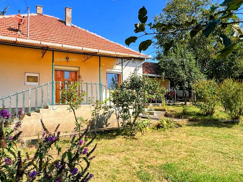 Ingatlan kép
