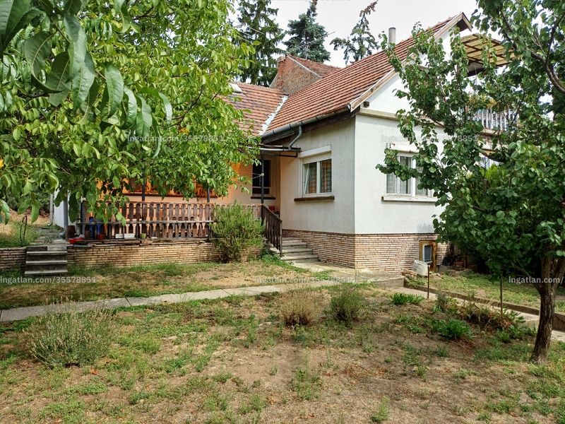 Ingatlan kép