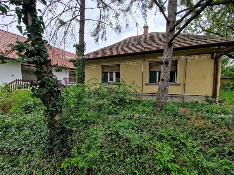 Ingatlan kép
