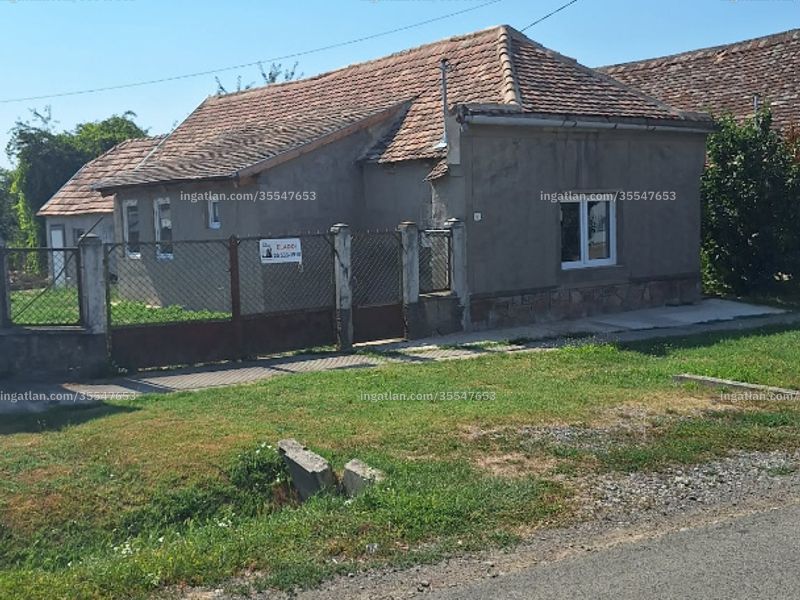 Ingatlan kép
