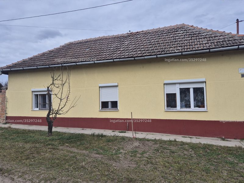 Ingatlan kép