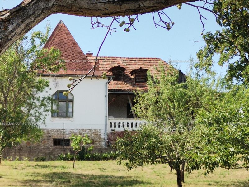 Ingatlan kép