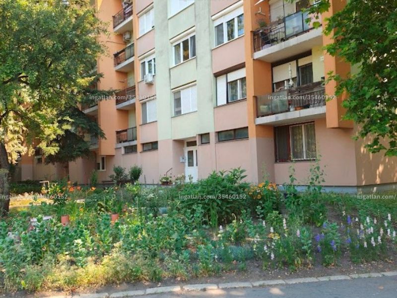 Ingatlan kép