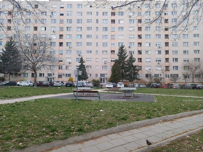 Ingatlan kép