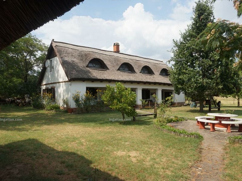 Ingatlan kép