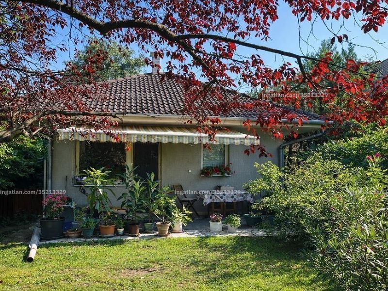 Ingatlan kép