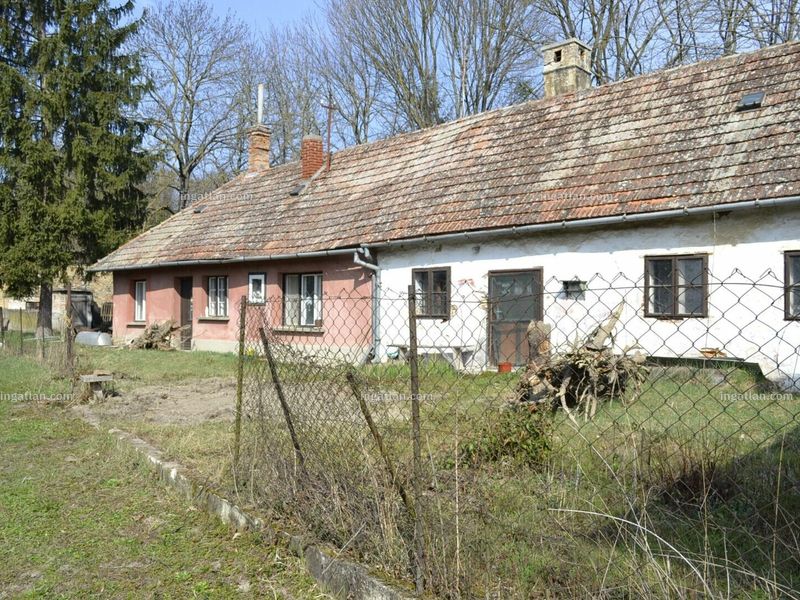 Ingatlan kép
