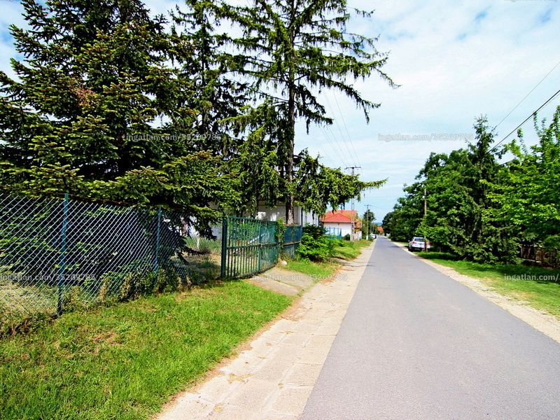 Ingatlan kép