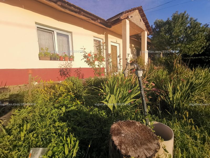 Ingatlan kép