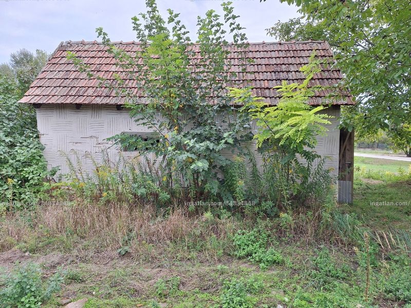 Ingatlan kép