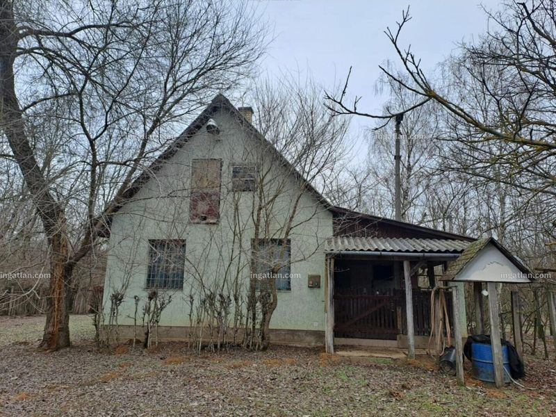 Ingatlan kép