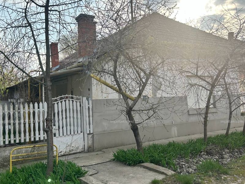 Ingatlan kép