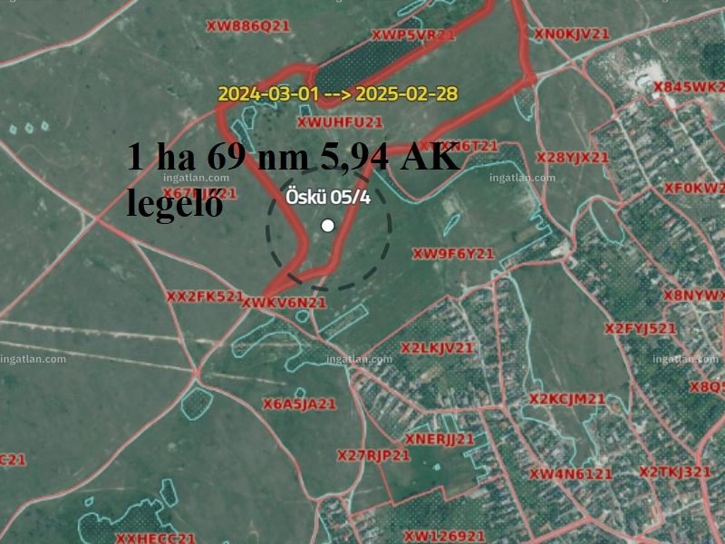 Ingatlan kép