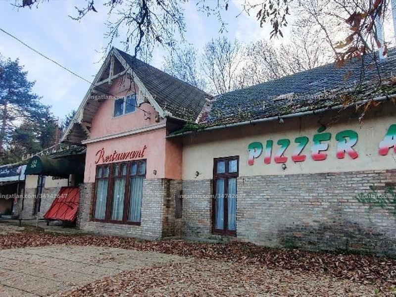 Ingatlan kép