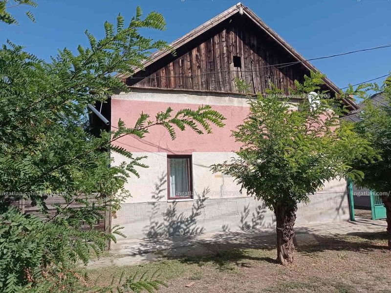 Ingatlan kép