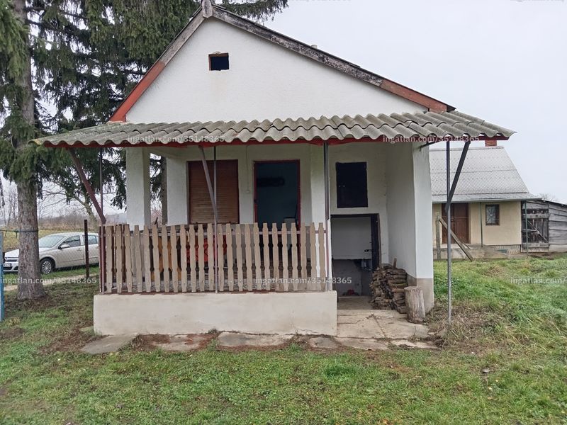 Ingatlan kép