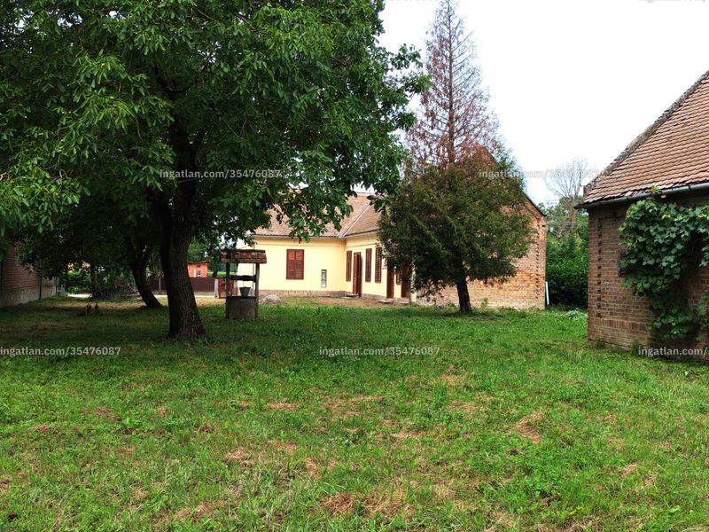 Ingatlan kép