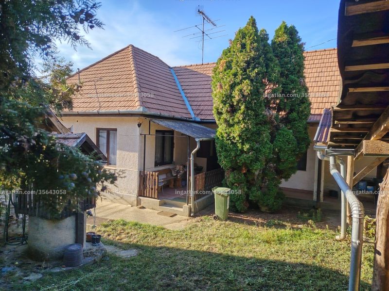 Ingatlan kép