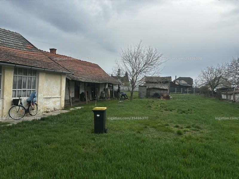 Ingatlan kép