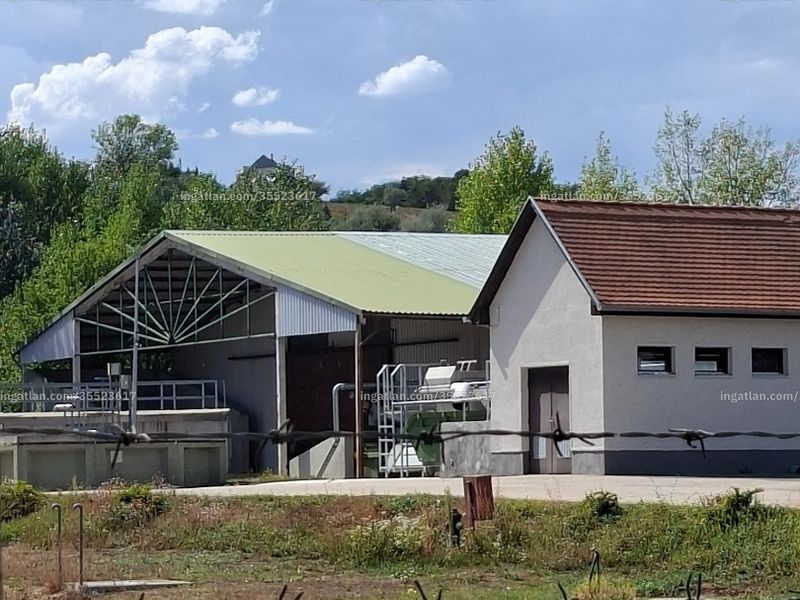 Ingatlan kép