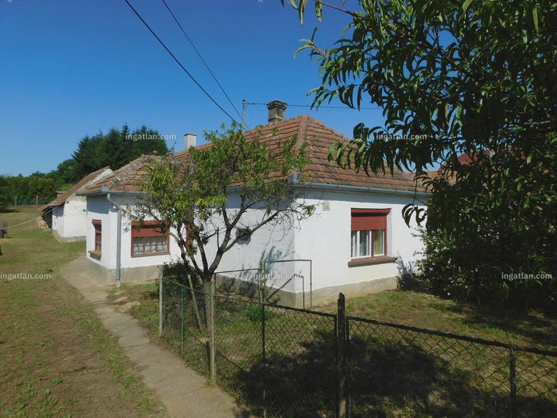 Ingatlan kép