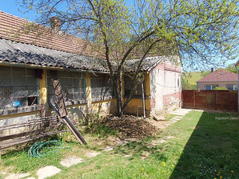 Ingatlan kép