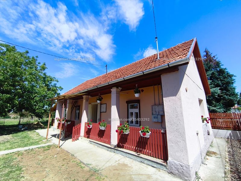 Ingatlan kép