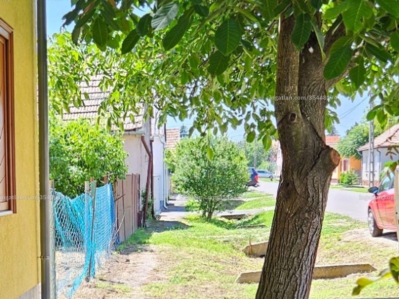 Ingatlan kép