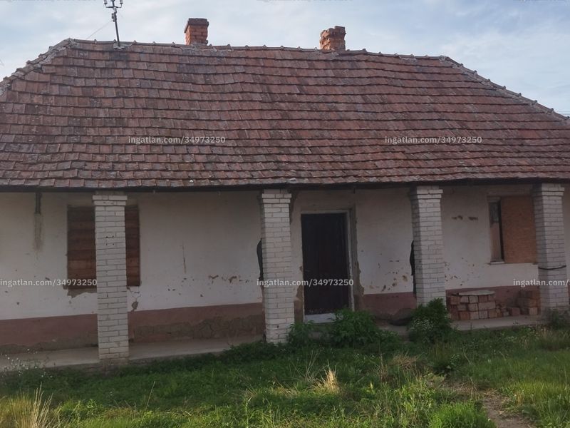 Ingatlan kép
