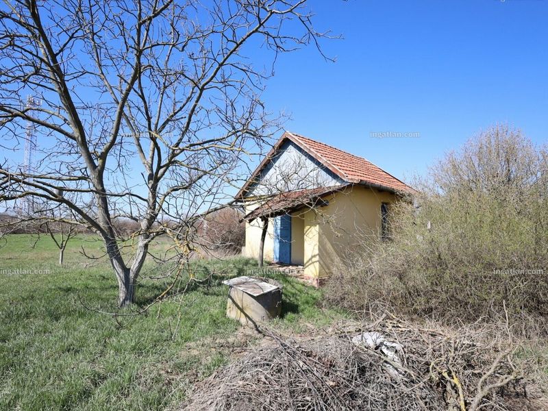 Ingatlan kép