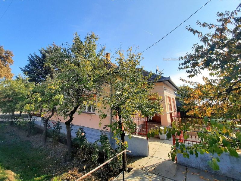 Ingatlan kép